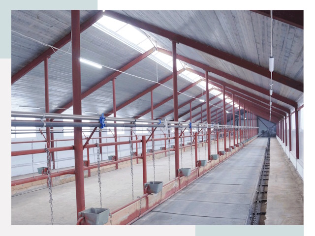 Строительство коровников в Волхове от 628 руб.