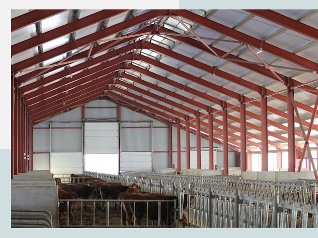 Строительство коровников в Волхове