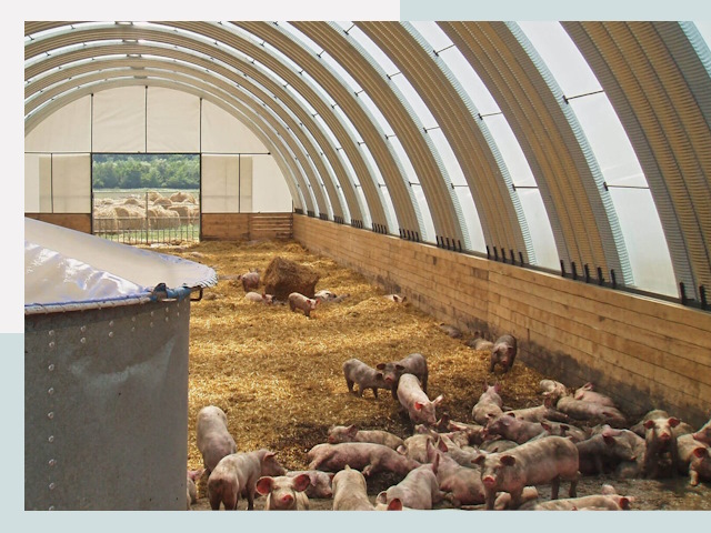 Строительство свинарников в Волхове