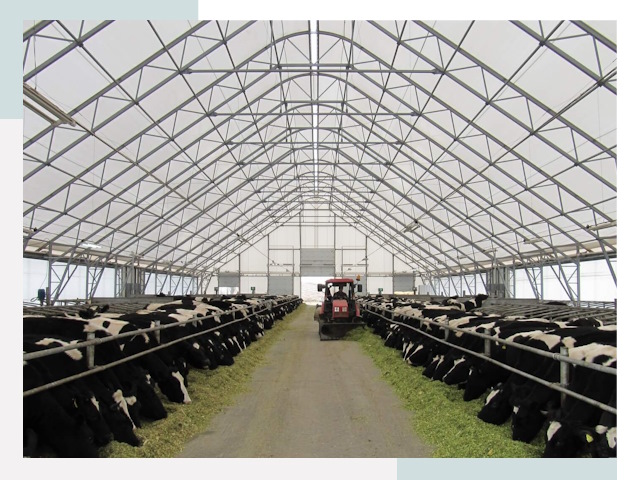 Тентовые коровники в Волхове от 628 руб. - Надежно и доступно